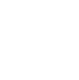 Get Beyond Borders Logo