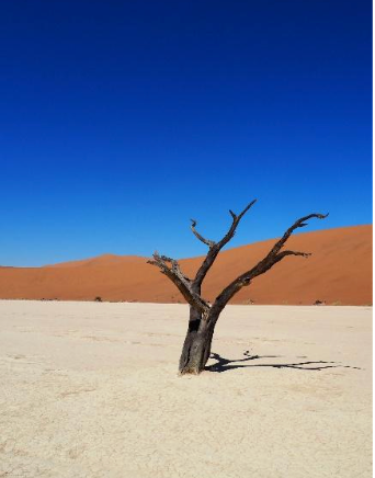 Sossusvlei