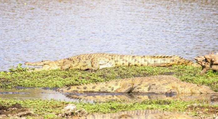 Rundu – Caprivi