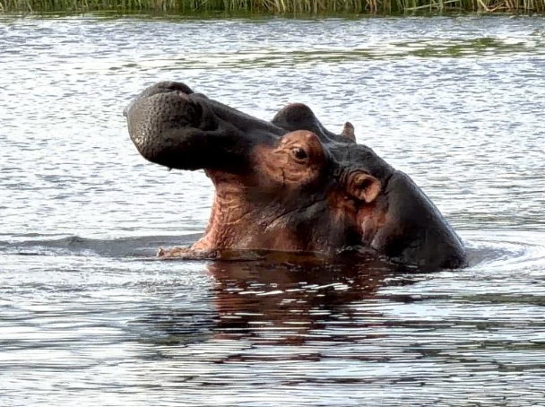 Caprivi