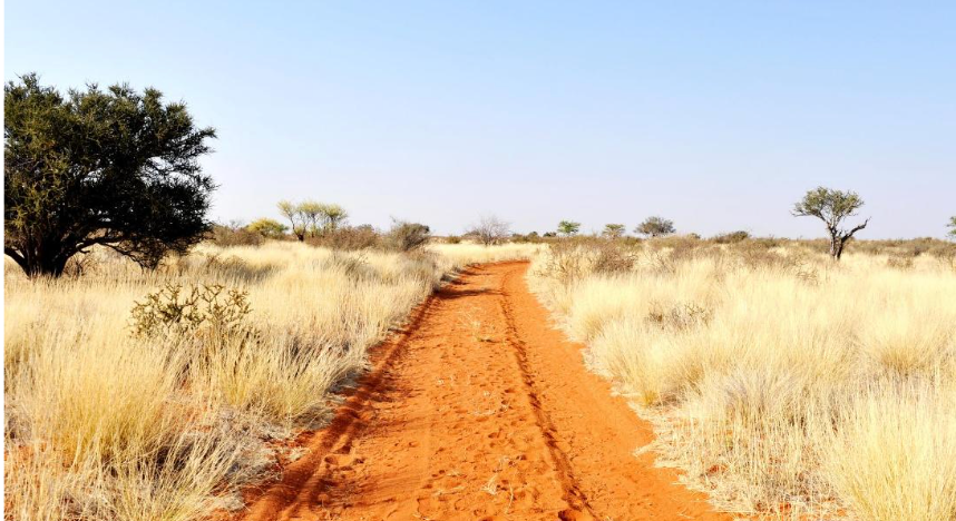 Kalahari Desert