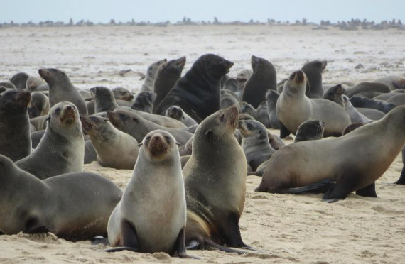 Sossusvlei – Swakopmund