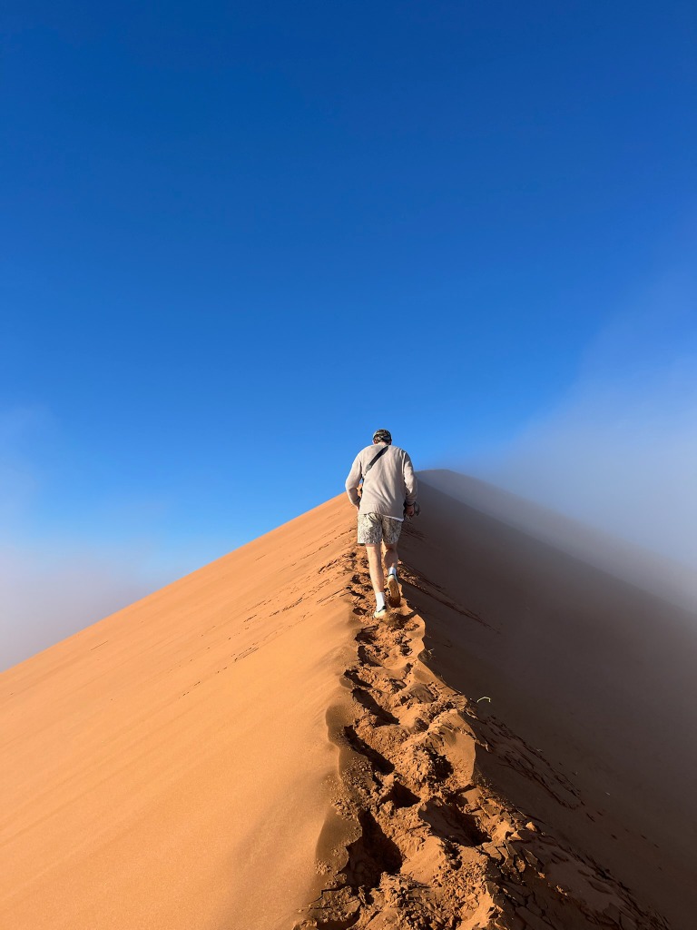 Where the desert meets the ocean