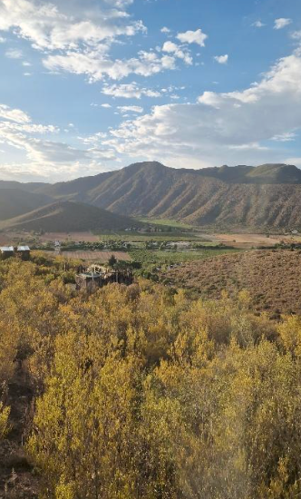 Tsitsikamma N.P. – Oudtshoorn