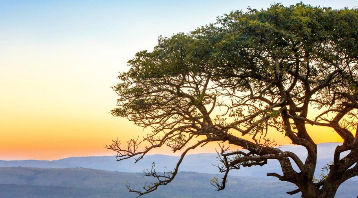 Hluhluwe – Drakensberg