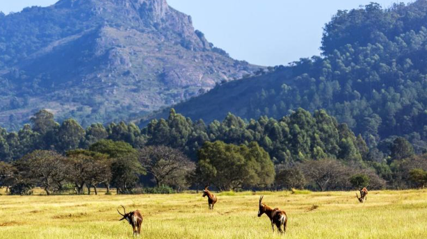 eSwatini – Kosi Bay