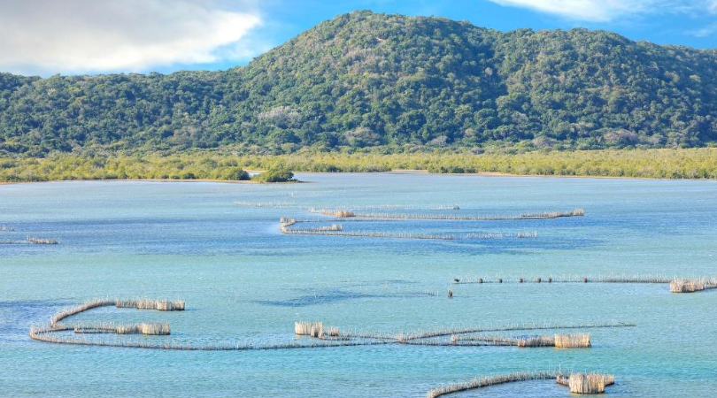 Kosi Bay