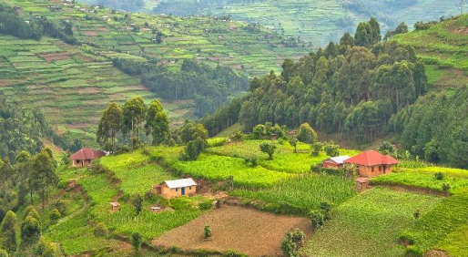 Kisoro – Lake Bunyonyi