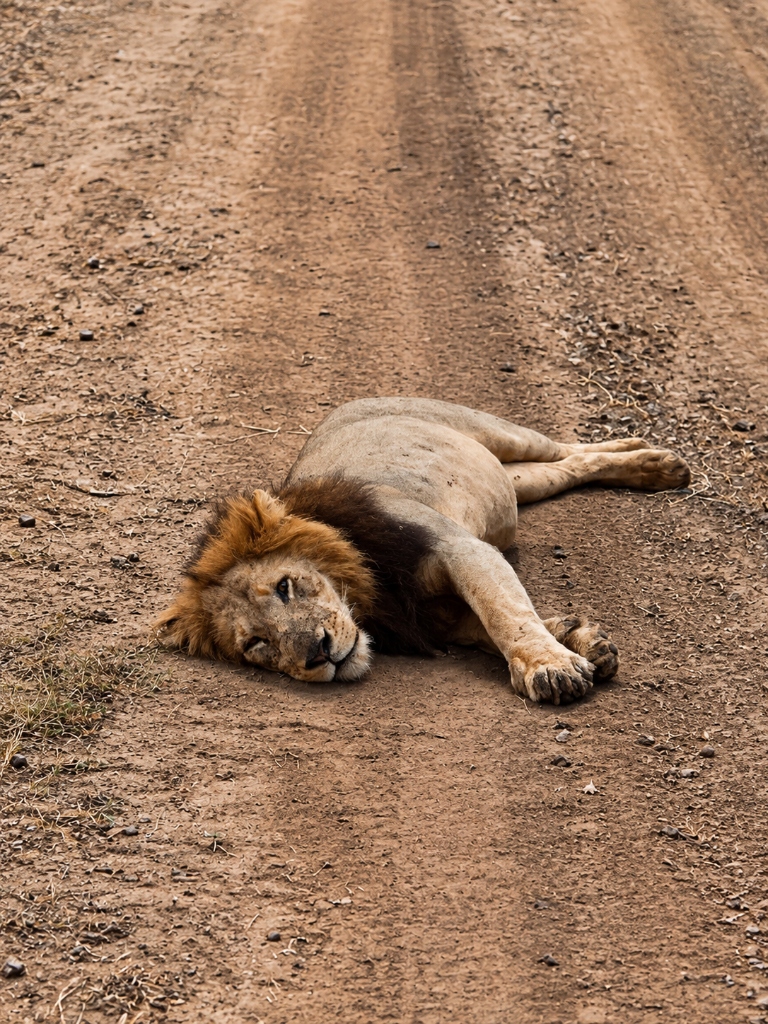 Uganda – Steven's quote