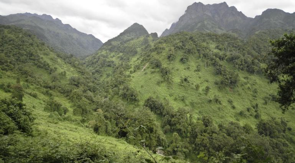 Rwenzori Mountains