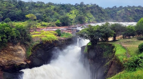 Rwenzori Mountains – Murchison Falls N.P.